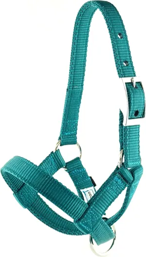 Alpaca Halter, S M L, Made in USA, Lead, Fence Tie, 24 Patterns, Figure 8, Small, Medium, Large, Livestock (Neon Lime Green, Medium)