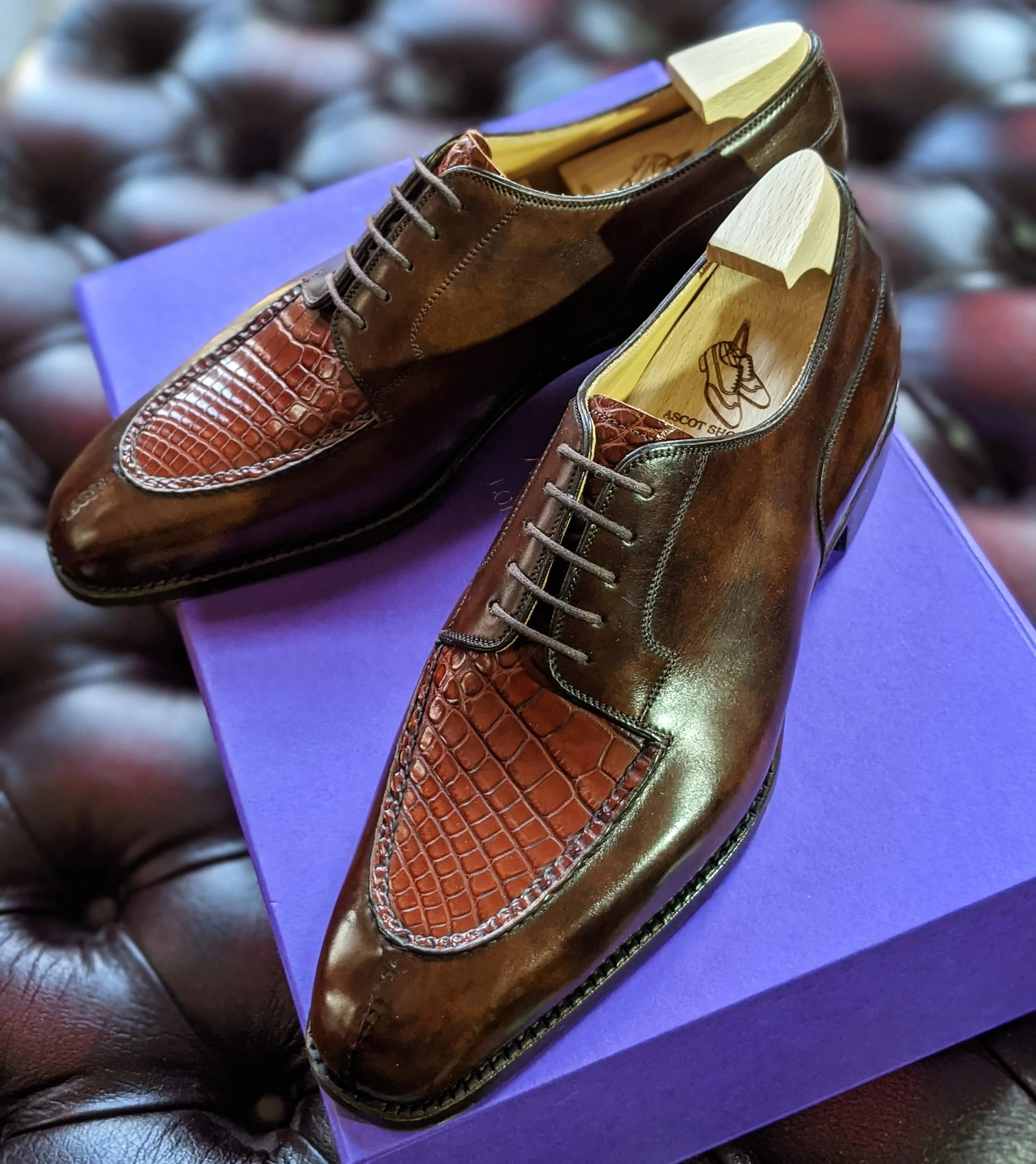 Ascot Kaan - Brown Museum Calf & Cognac Crocodile