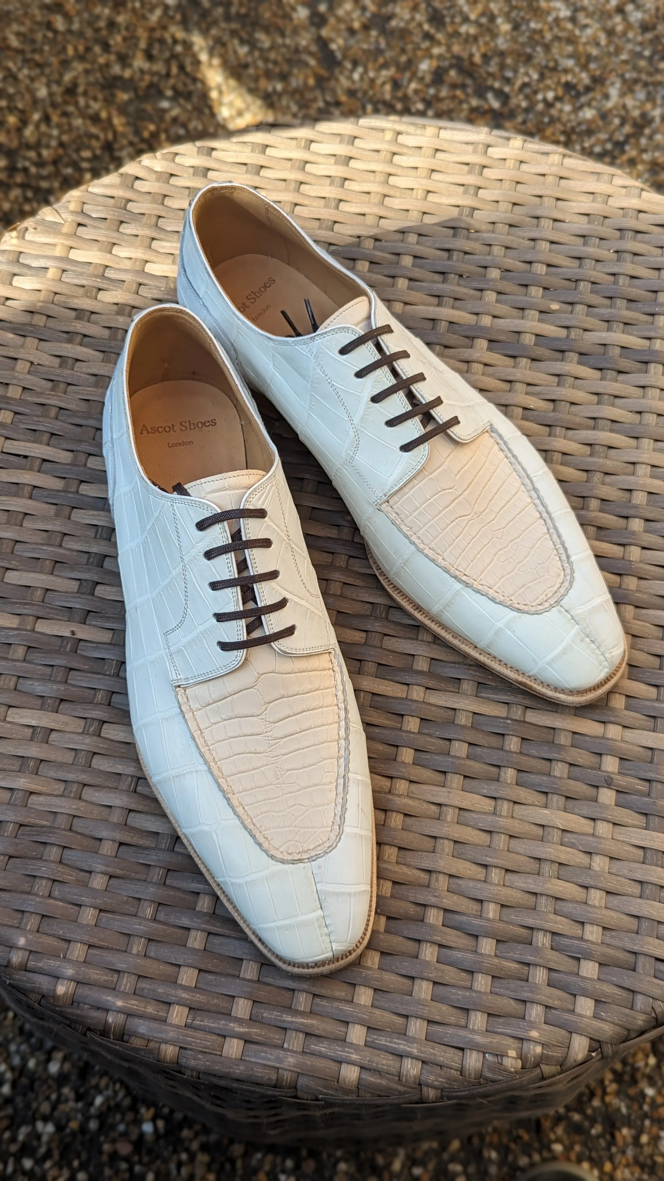 Ascot Kaan - White & Cream Crocodile