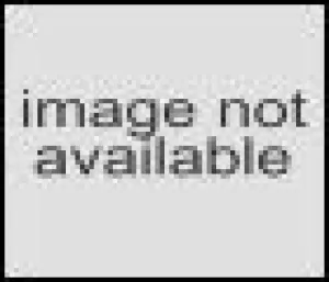Carhartt Mens Sandstone Traditional Jacket J22 Moss
