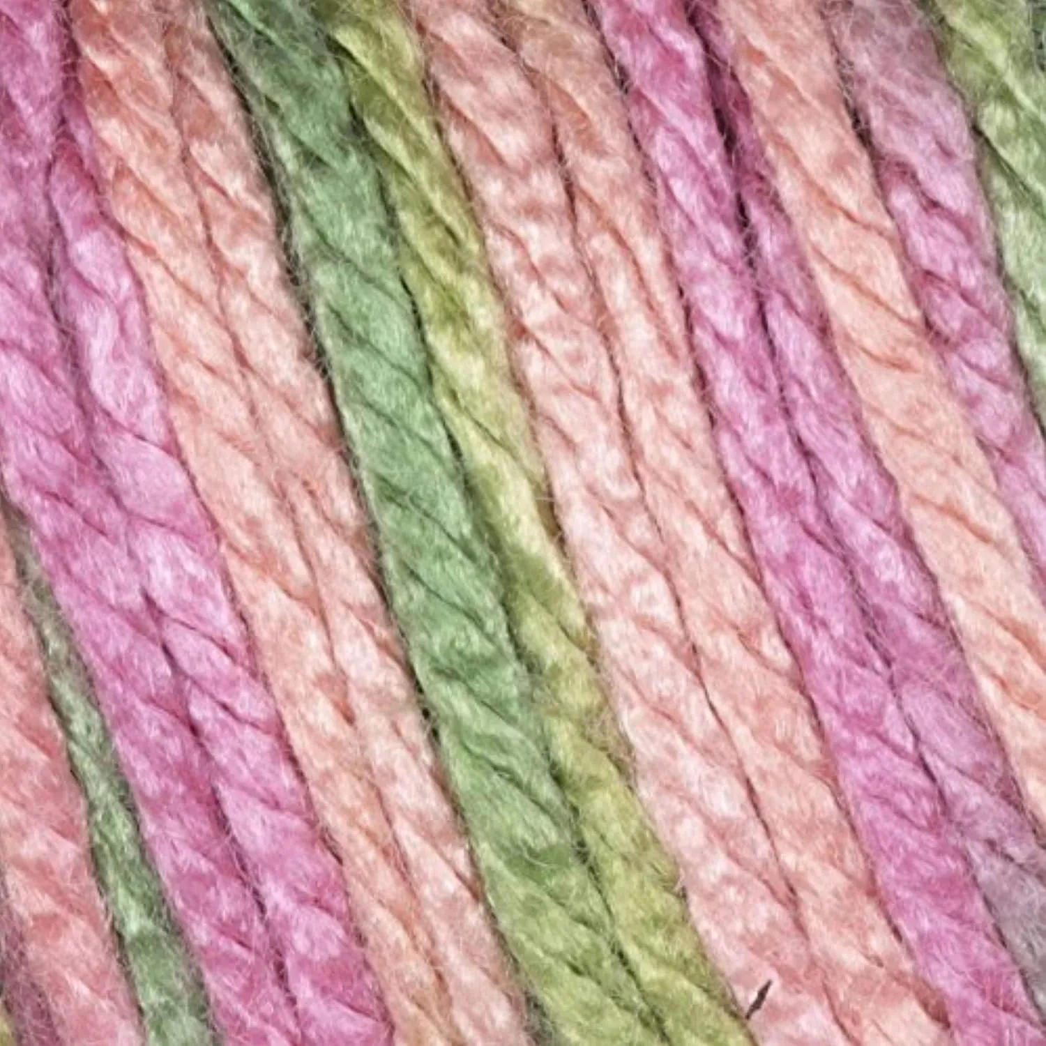 Caron Simply Soft Paints Rose Garden 294021-21002 (3-Skeins - Same Dye Lot) Worsted Medium #4 Acrylic Yarn for Crocheting and Knitting with Project Bag