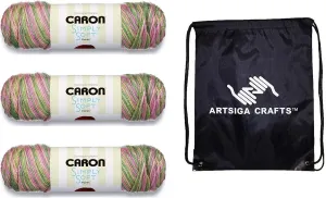 Caron Simply Soft Paints Rose Garden 294021-21002 (3-Skeins - Same Dye Lot) Worsted Medium #4 Acrylic Yarn for Crocheting and Knitting with Project Bag