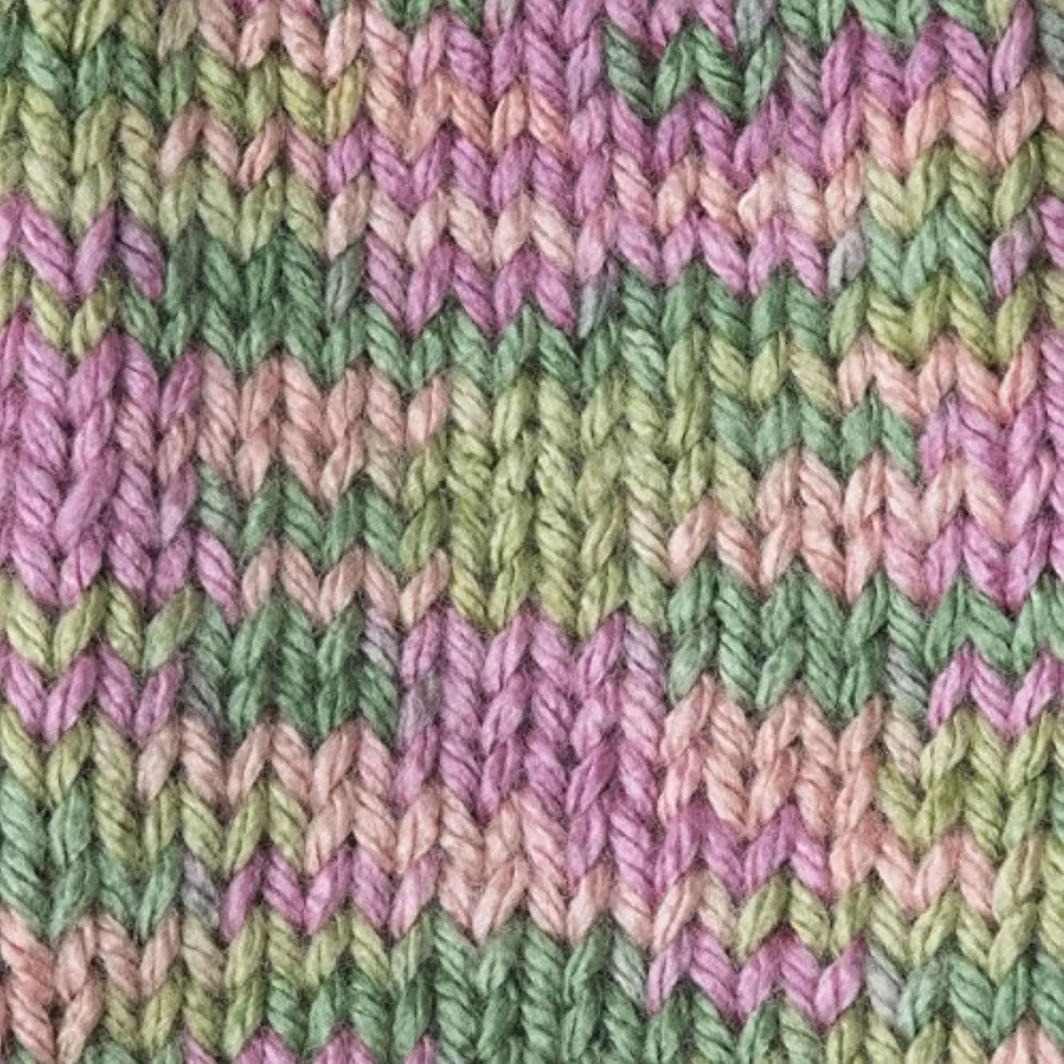 Caron Simply Soft Paints Rose Garden 294021-21002 (3-Skeins - Same Dye Lot) Worsted Medium #4 Acrylic Yarn for Crocheting and Knitting with Project Bag