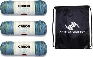 Caron Simply Soft Paints Spring Brook 294021-21003 (3-Skeins - Same Dye Lot) Worsted Medium #4 Acrylic Yarn for Crocheting and Knitting with Project Bag