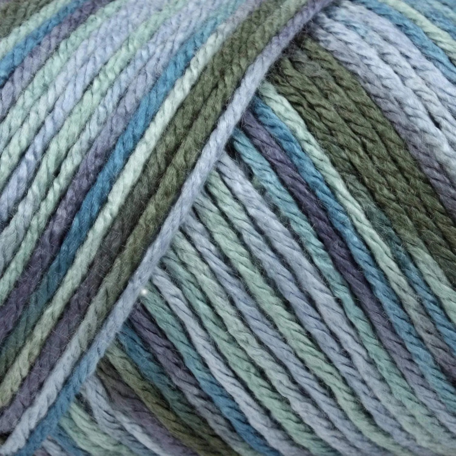 Caron Simply Soft Paints Spring Brook 294021-21003 (3-Skeins - Same Dye Lot) Worsted Medium #4 Acrylic Yarn for Crocheting and Knitting with Project Bag