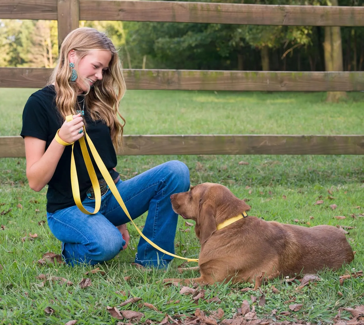Country Brook Design - Premium 3/4 Inch Nylon Webbing - 3,000 lb Strength 100% Pure Heavy Duty Nylon Strap - 30  Vibrant Colors