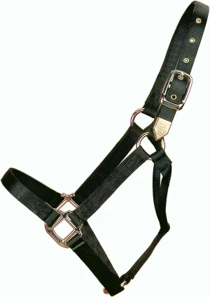 Hamilton 1-Inch Nylon Horse Halter, Yearling, 300 to 500-Pound, Black
