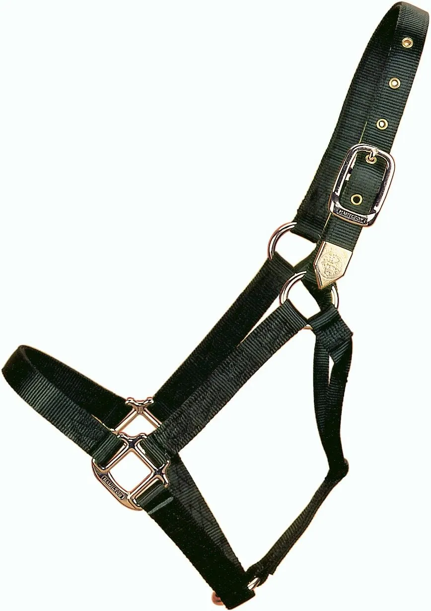 Hamilton 1-Inch Nylon Horse Halter, Yearling, 300 to 500-Pound, Black