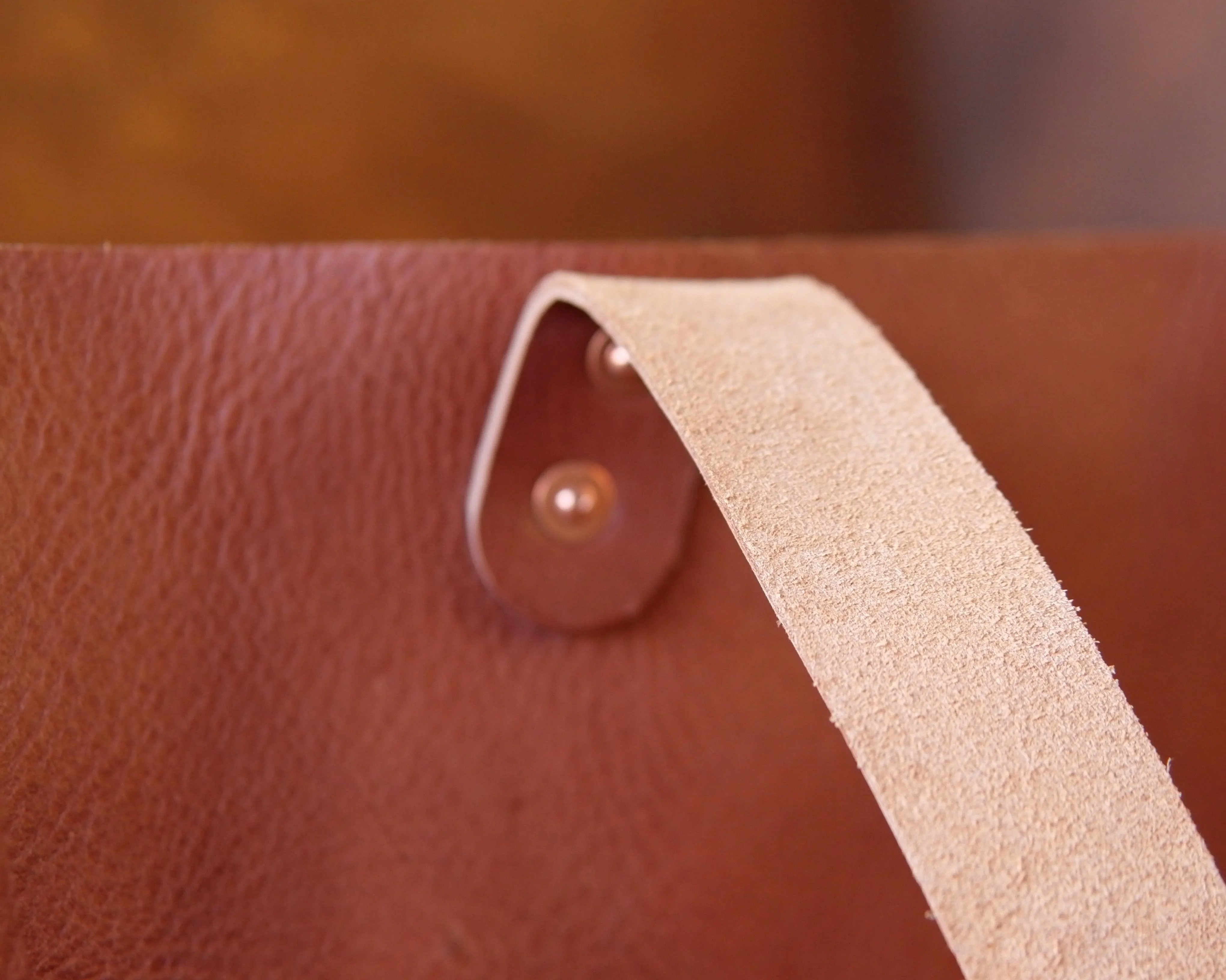 Leather Tote in Chestnut