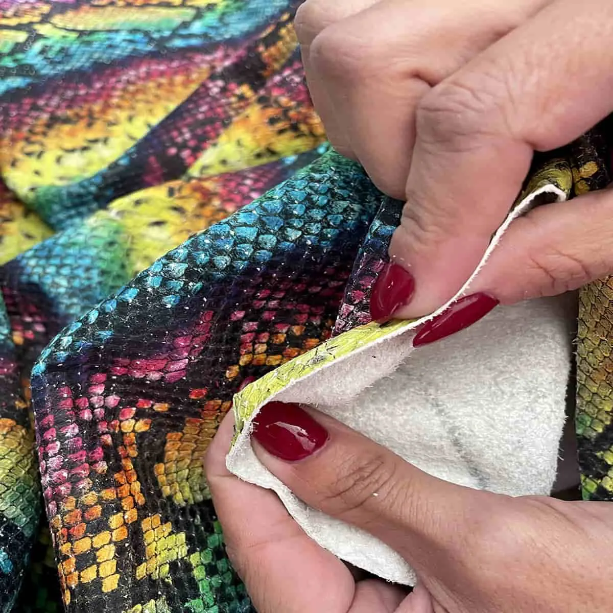 Multicolor Snake Print