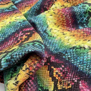 Multicolor Snake Print