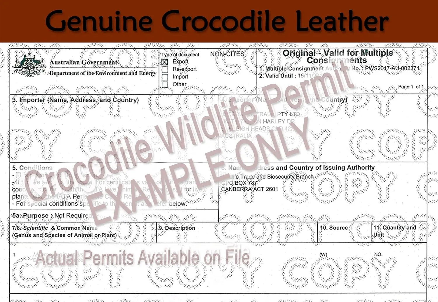 Oztrala】Leather Hat Crocodile Band Australian Outback Dundee Aussie Mens Womens Jacaru Black Brown Cowboy HLC1 US