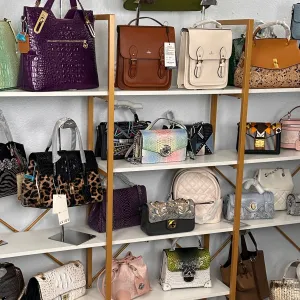Pick Any 1 Lavish Handbag