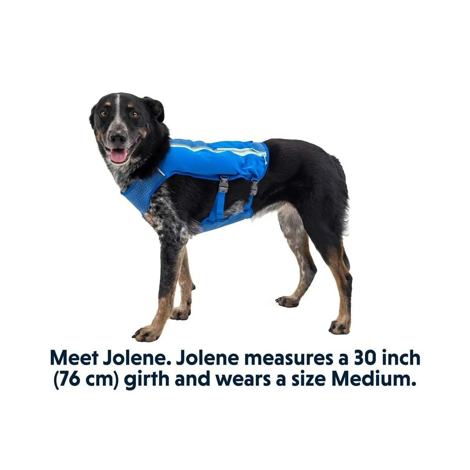 Ruffwear Trail Runner Dog Running Vest in Blue Pool (Medium)