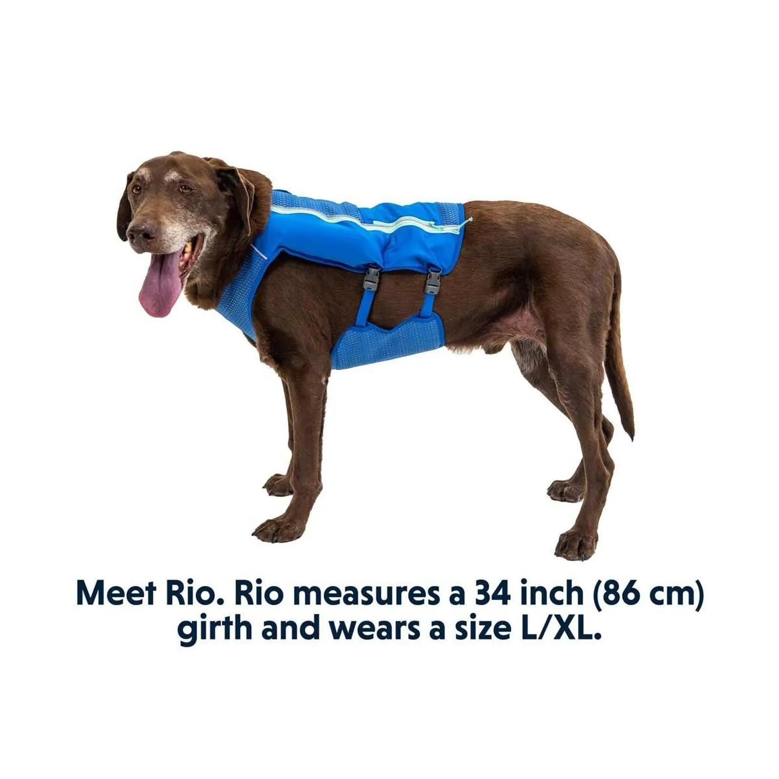 Ruffwear Trail Runner Dog Running Vest in Blue Pool (Medium)