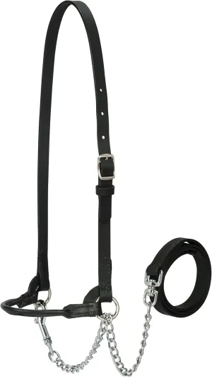 Weaver Leather Livestock Dairy Halter