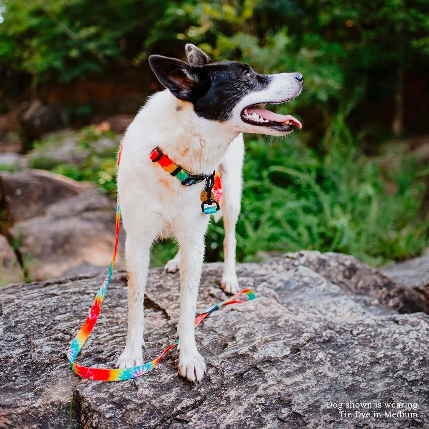 Wilderdog Waterproof Dog Collar - Repels Water & Dirt - Small 11"-15" - Tie Dye